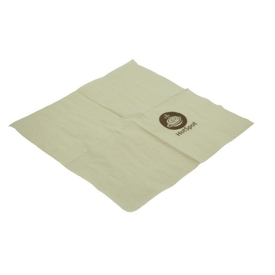 Compostable Printed Paper Napkin 13x13 Inch 2-Ply Eco Lunch Tissue Natural