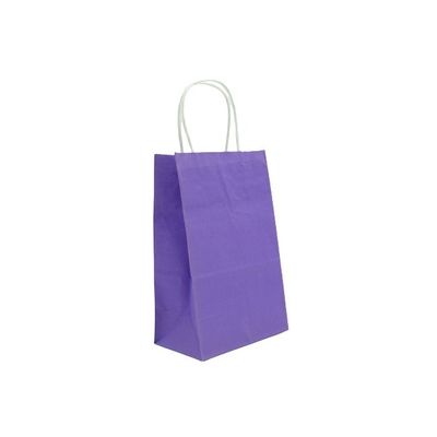  Multi-Color Paper Party Favor Bags for Goodies Rainbow Gift Bags with Handles Birthdays, Events, Classrooms & Celebrations