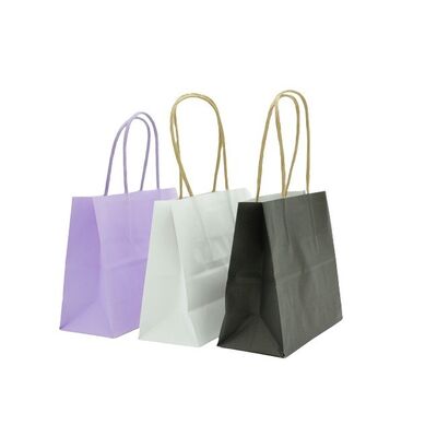 Multiple Uses Customized Size Paper Bags with Handles Bulk 8.26"×6"×3.15" Small Gift Bags  