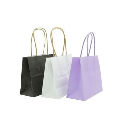  White Kraft Paper Gift Bags with Handles for Small Business Retail Grocery Wedding Birthday Party favor