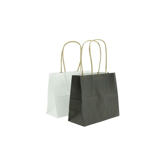 Customized Different Colors Small Gift Paper Bag with Handles for Graduation and Gift Retail Shopping Bags