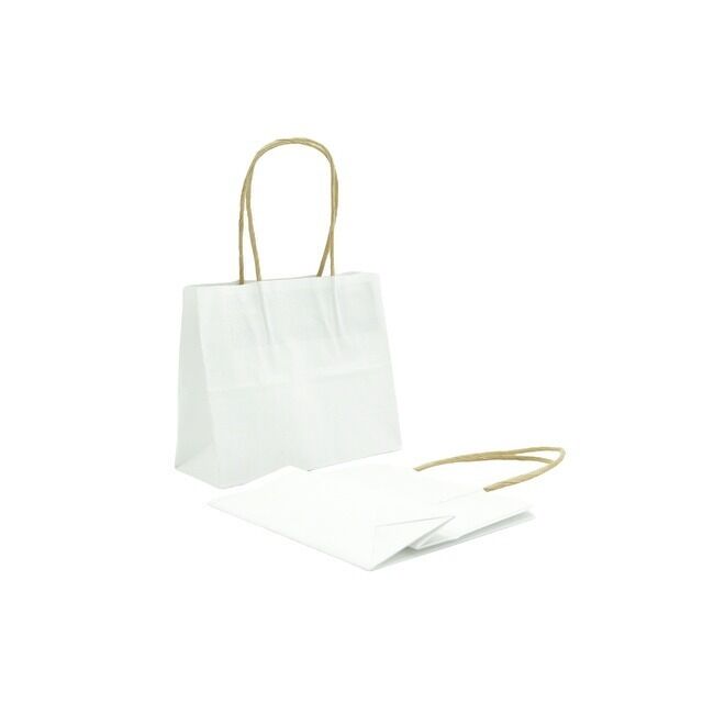  White Kraft Paper Gift Bags with Handles for Small Business Retail Grocery Wedding Birthday Party favor