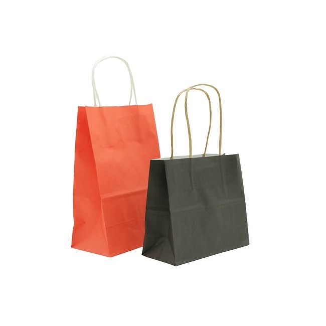 Customized Different Colors Small Gift Paper Bag with Handles for Graduation and Gift Retail Shopping Bags
